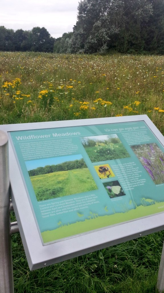 bridget_sci's tweet photo. Lovely to see the wildflowers matching the interp. down at Pickering Pasture #wildflowers #widnes https://t.co/GTUg7TAGFn