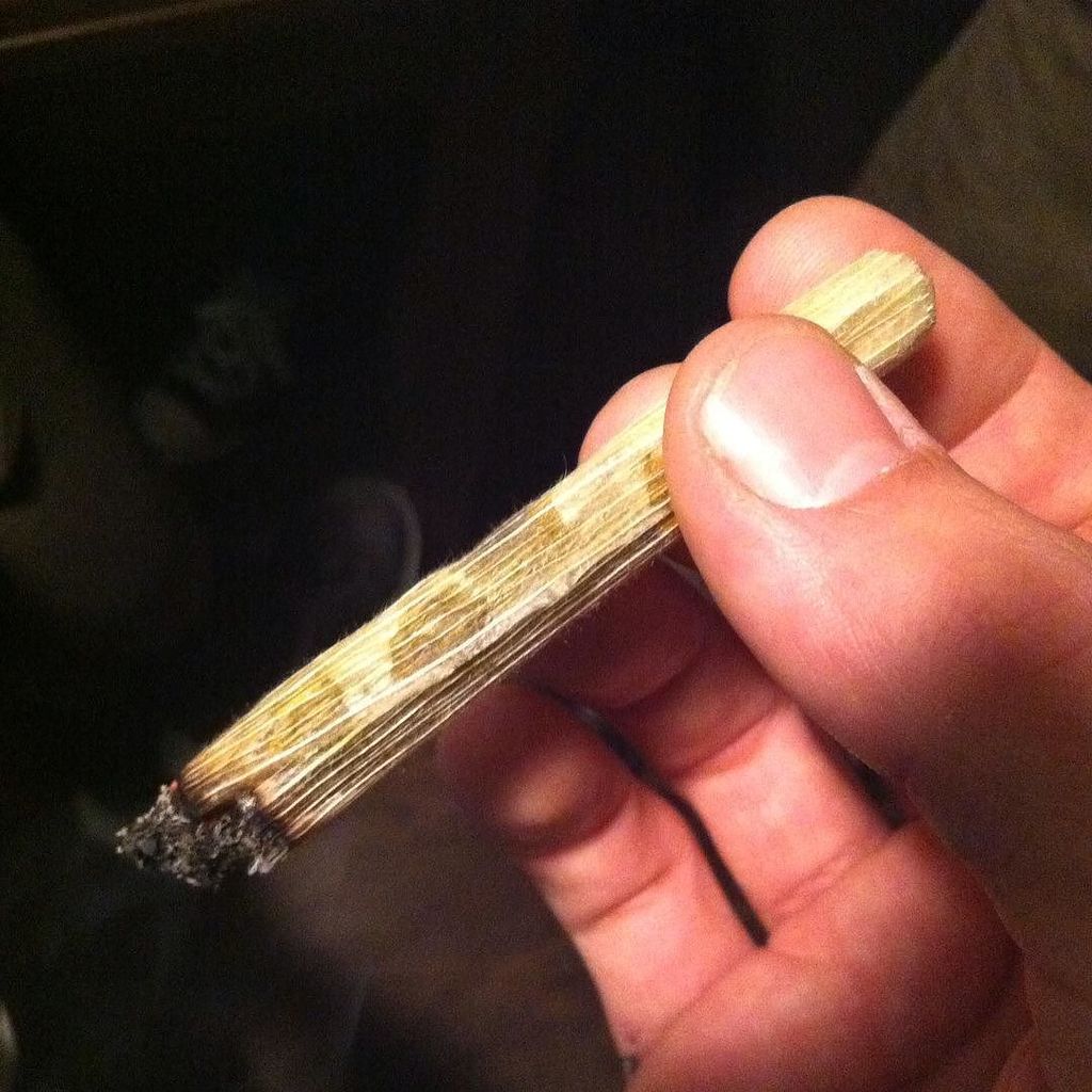 weedporndaily's tweet image. Tried my first #CornHusk #joint last night courtesy of @mellowfellowsmokewraps filled with… ift.tt/29W0K2G