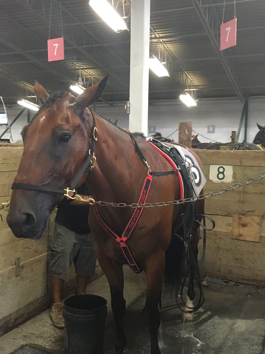SaratogaCasino's tweet photo. 8- P H Supercam
2015 #Gerrity Champion https://t.co/7izGc09vVn