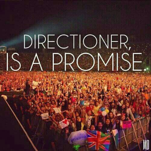 areli_1Dcm's tweet photo. #promise ✋ 💕 👏 #thisisnotendofonedirection 😭
#6YearsOf1D 😭 https://t.co/twkRdpKwGY