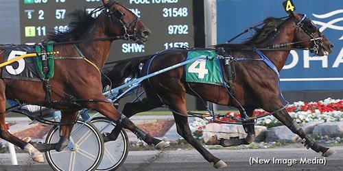 trotinsider's tweet photo. Canada's Horse of the Year in 2015, State Treasurer passes $2 million in first win of 2016 https://t.co/9bNJHK9aXF https://t.co/aQYwYtUHhr