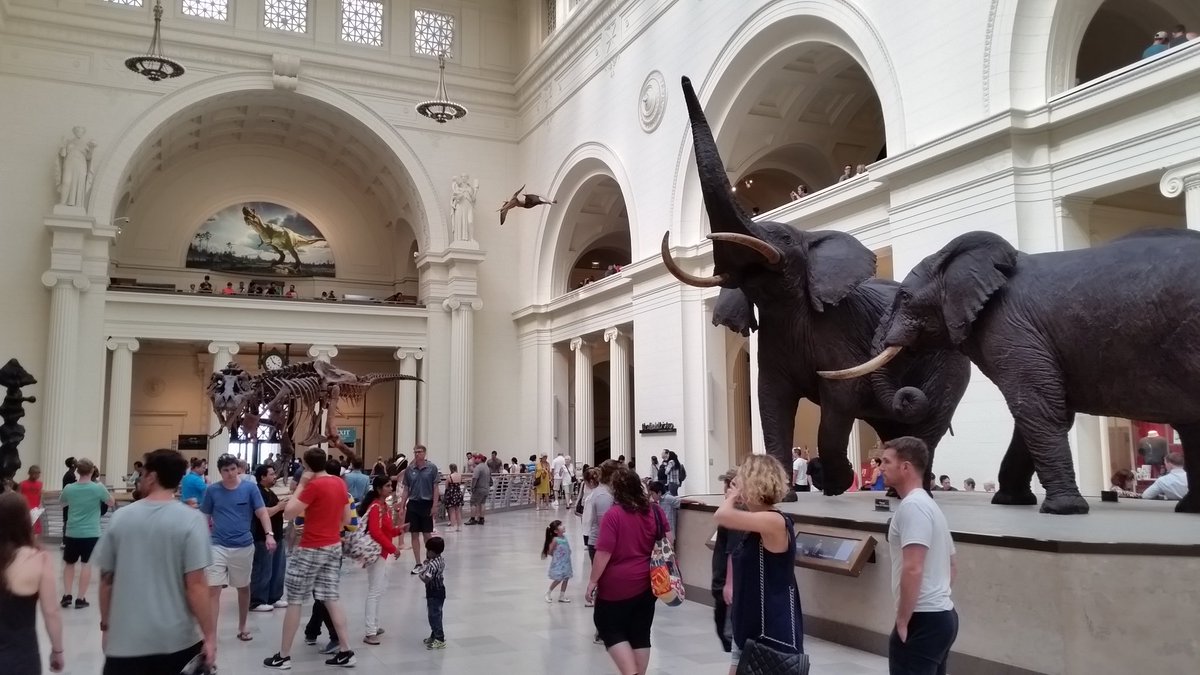 philippz92's tweet photo. Field museum! #venturebits @_Julian_5 @Davidhenrik_91 @kaltenT https://t.co/dZkkBCEXNm