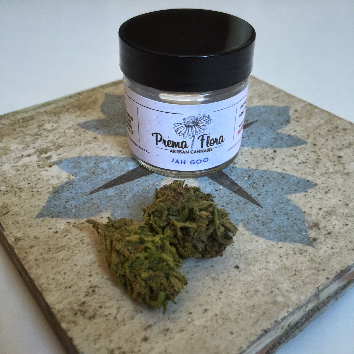 rosatiphotos's tweet photo. #PrimaFlora #JahGoo #indica from Mendo, scent of mint & cedar #mmj https://t.co/fNlChG3g5p