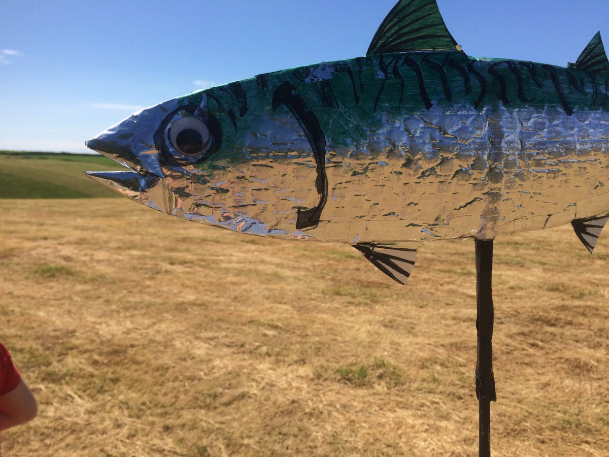 alastair's tweet photo. The fish are gathering for #InsideOut2016 - great afternoon with And Now on the Dorset Ridgeway @ActivatePArts https://t.co/r3BakucSOA