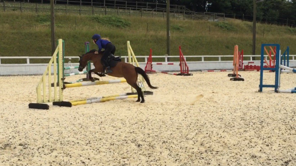 Vickie39580365's tweet photo. Snip showing how it's done at cobham!! @walterdressage https://t.co/GuxlrfBdoT