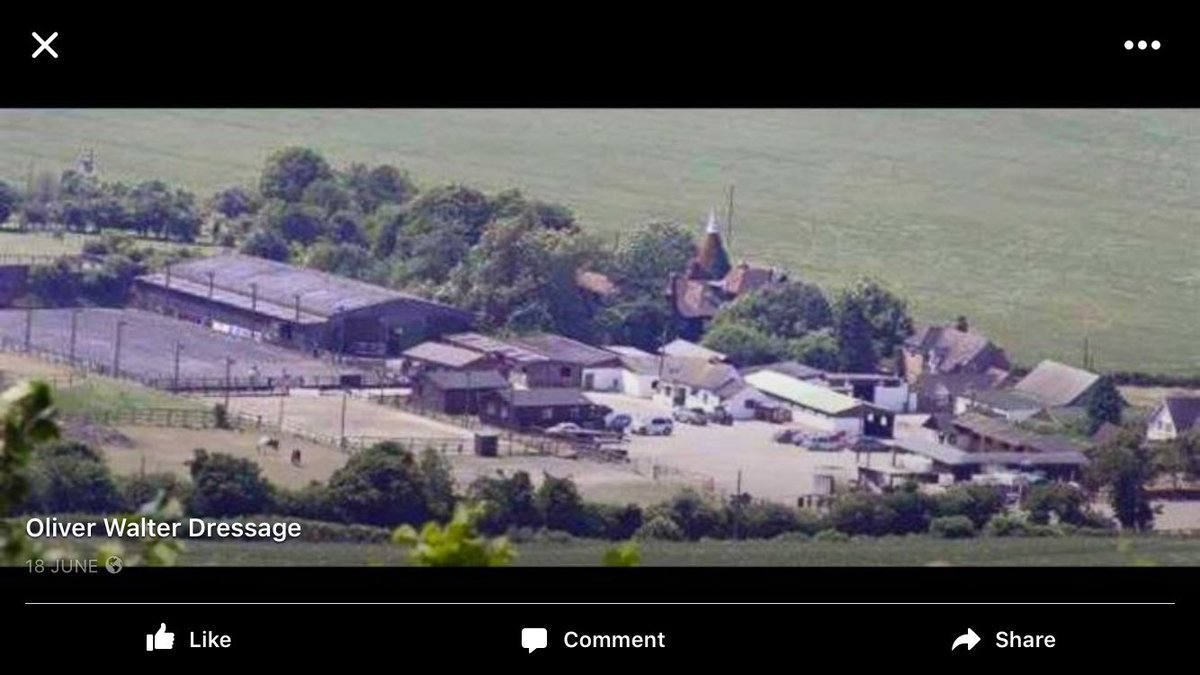 Vickie39580365's tweet photo. Livery vacancies at cobham manor!! https://t.co/iQlddV4xcv