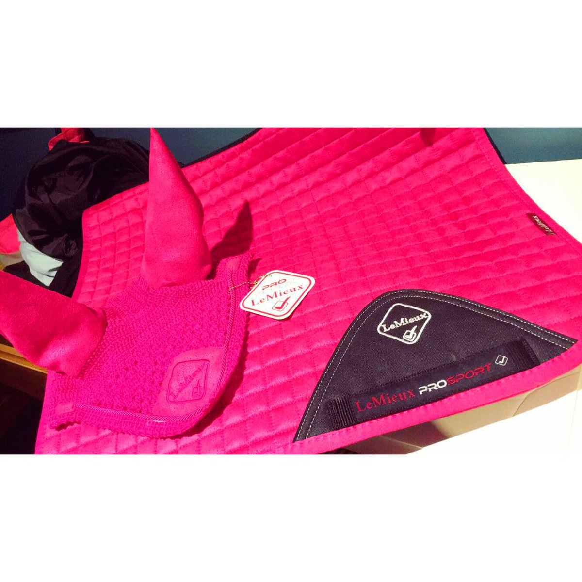laurz8's tweet photo. So today I bought the girls some pink! 😍 #lemieux #horsehealth #pink https://t.co/19mzR6HM9x