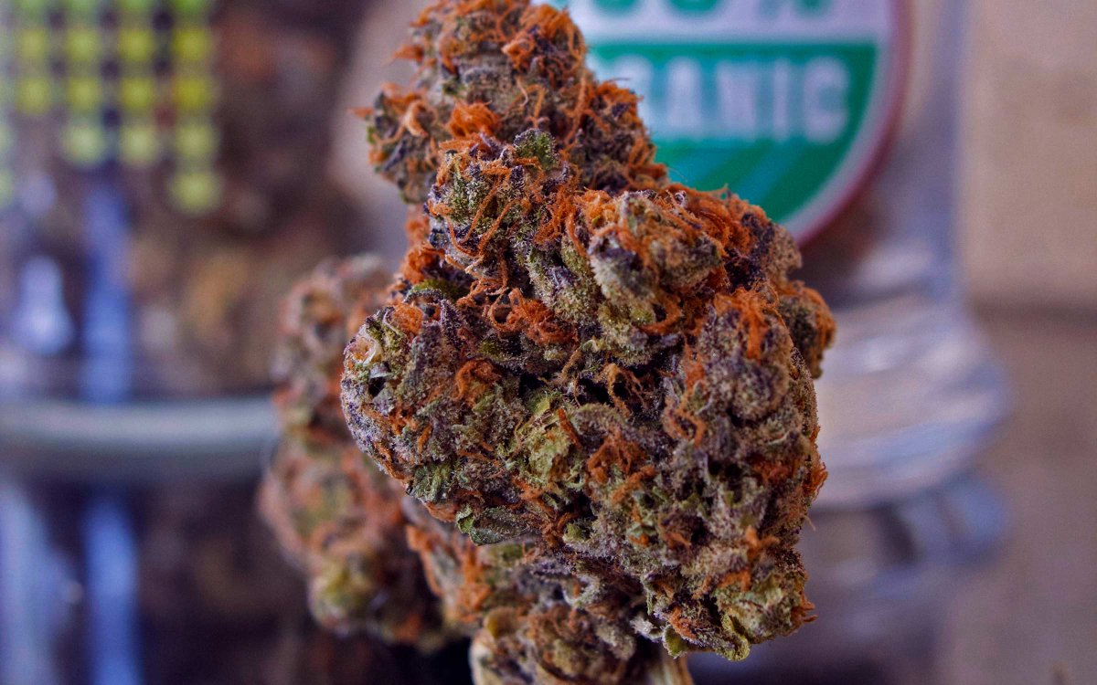 HIGH_TIMES_Mag's tweet photo. #Arizona Still Fighting. Judge to Hear Challenge of Marijuana Legalization Initiative.
https://t.co/iEpGeZQQel https://t.co/eKn2EdEo8X
