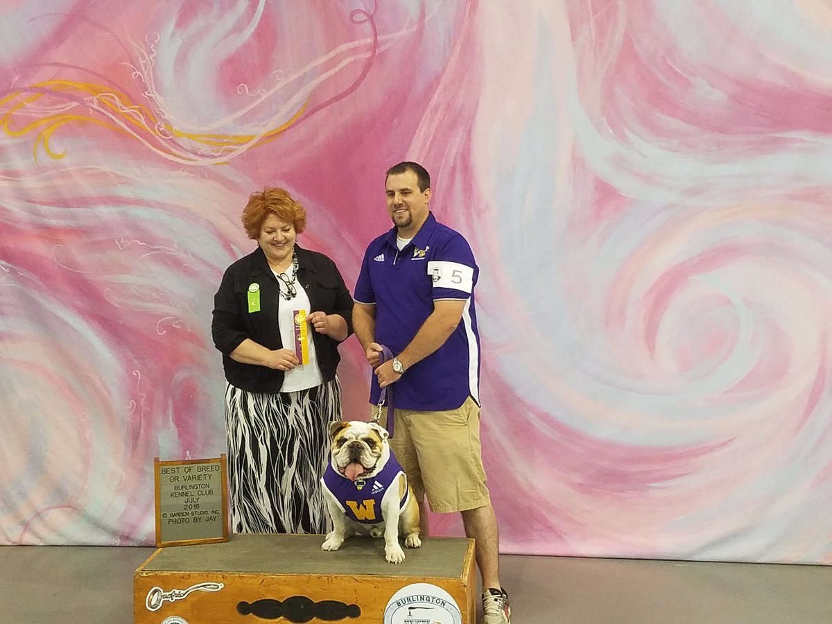 Joe Roselieb with Col.Rock III at the AKC Dog Show in Macomb today <a href="/WIUAthletics/">Western Illinois Leathernecks</a> <a href="/WesternILUniv/">Western Illinois University</a>