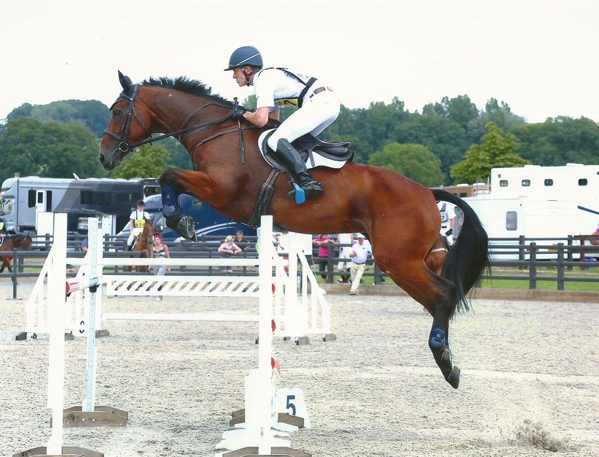 NoakesEventing's tweet photo. Betty in the Au25 at @AstonEqC , her first Advanced!! Sporting her @Horze boots from #BlueChipASA @BlueChipFeed https://t.co/ZAbjrkEmG3