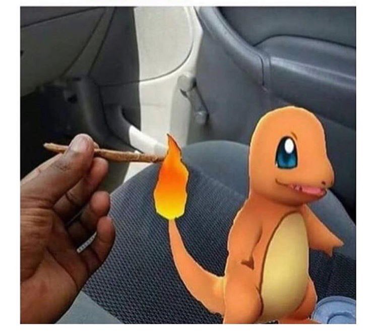basr2go's tweet photo. Professional breezy sparker 💯
#PokemonGO #charmader #homie https://t.co/MJa6LsO7Ny