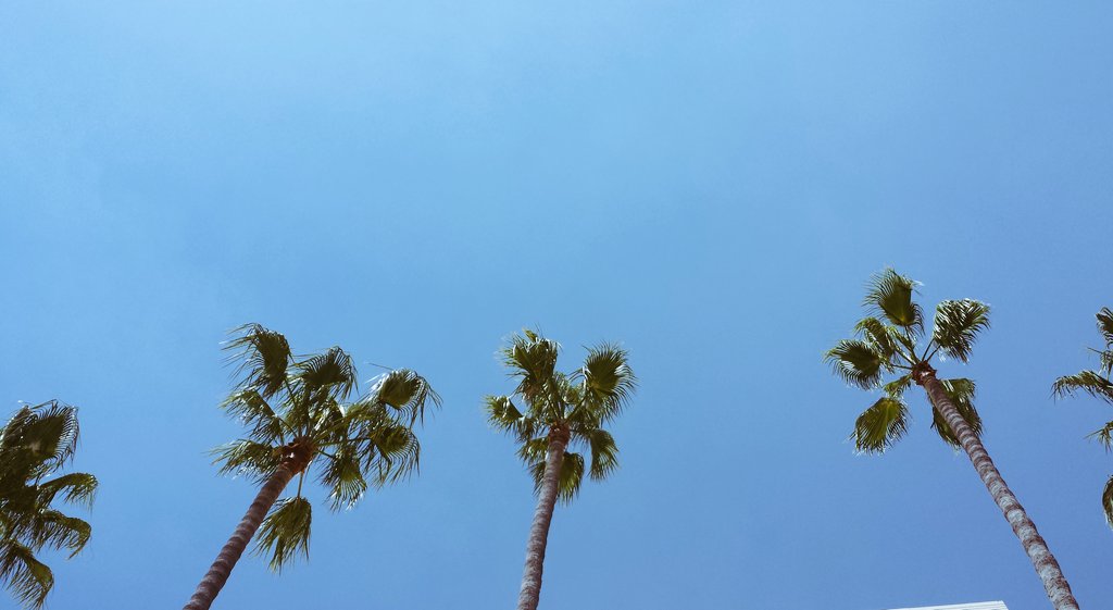 ourayphan's tweet photo. Really though. #Phish #Phamily #Pheeling #CaliforniaTides #Cali5 https://t.co/tbGp7qjibR