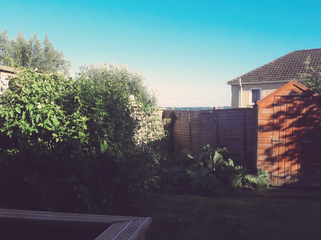 DemResearch's tweet image. The weather today has been lush.....