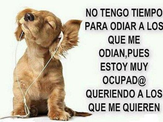 Monica Marie Gil (@monicapty13) on Twitter photo 