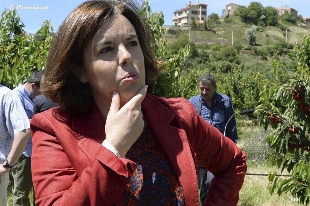 ¿Las manzanas como se acuestan para tener manzanas?