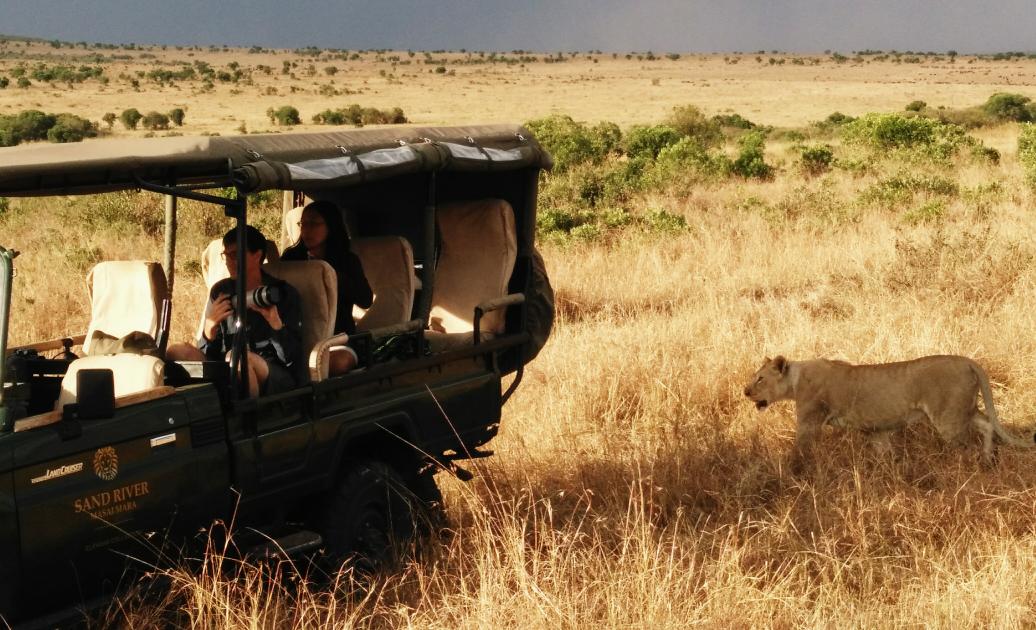 jonathan_kaelo's tweet photo. A lioness stalking our Jeep.. https://t.co/v3JYcZNHpb