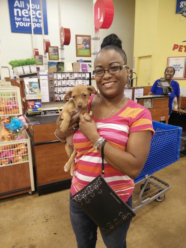daveddot's tweet photo. Minnie finds her furever home today!!! #pitbull #AdoptDontShop #petsmart @Ssmiley231 https://t.co/gCwOwvdhI0