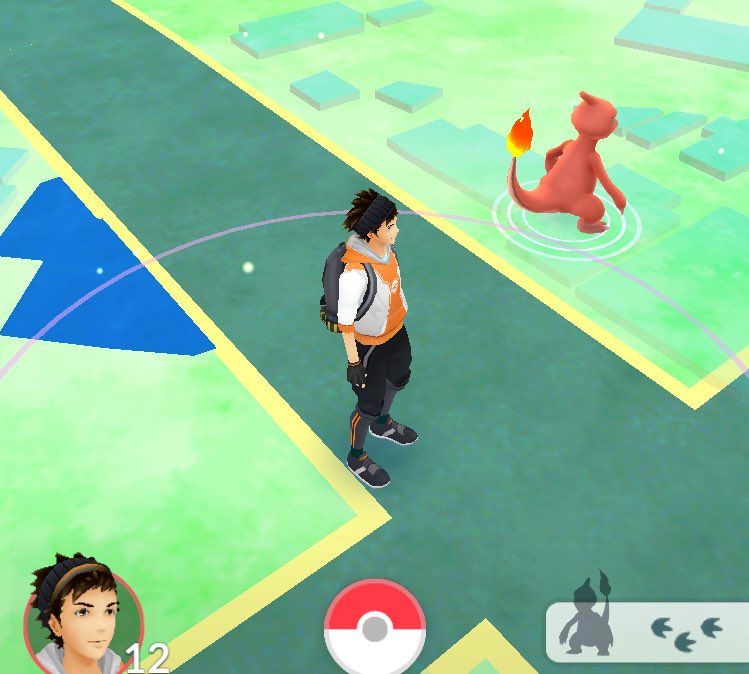 ポケモンgo ポケモンの下の足跡って何を表してるの