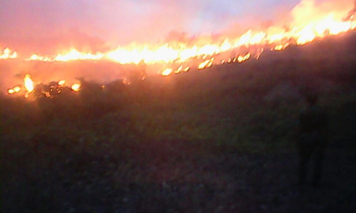 Karhutla masih melanda 6 desa di kecamatan Batang Onang kab. Padang Lawas Utara Prov Sumut 23/7/2016.