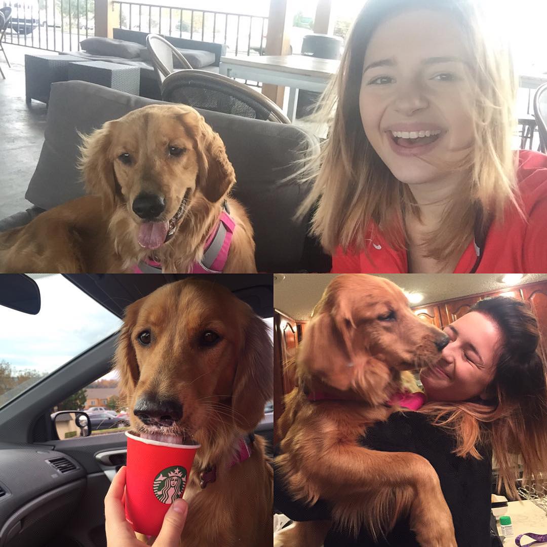 mentionings's tweet photo. Every pup loves owners who give them puppuccino's https://t.co/QcSSfAnw3u