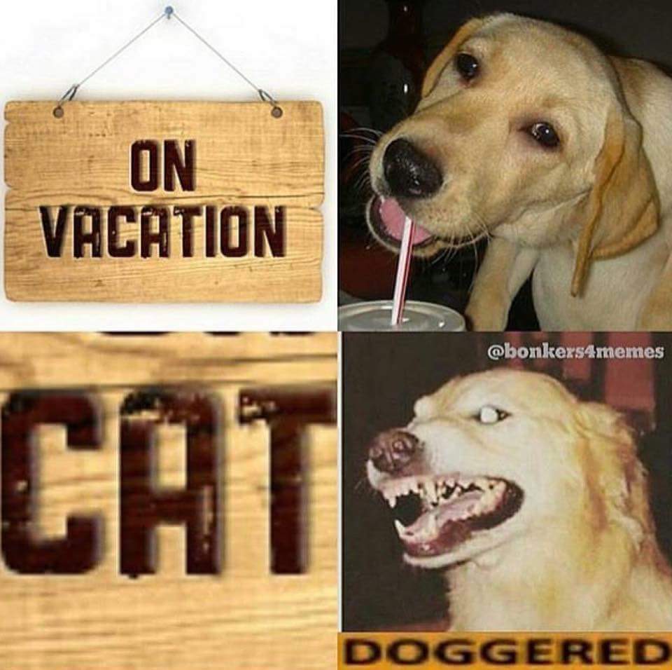 doggered lmao