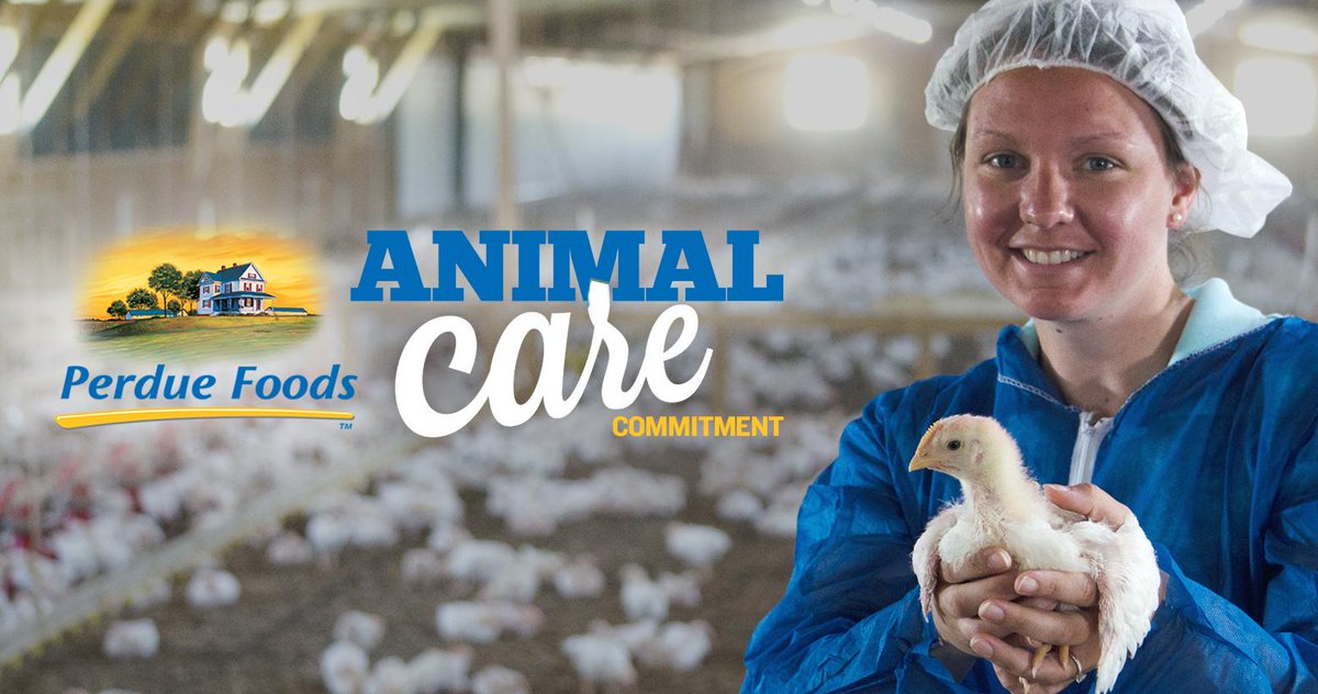 4 parts, 1 goal, continued commitment to animal care from <a href="/Perdue/">Lisa 🏳️‍🌈🤟🏻</a> #promotion #PerdueCrew - sot.ag/5f2ty