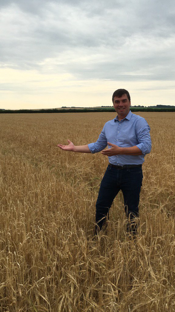 The Maris Otter "Motherfield".  Hallowed ground of the pure seed source.  Norfolk, England.  @CrispMaltAdrian