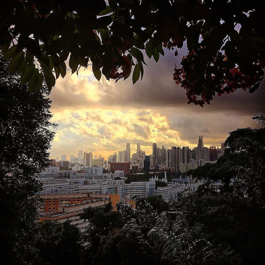 rovinglight's tweet photo. Garden City #singapore #travel #sg #mtfaber #cityscape #sundaymorning #ShotOniPhone6s https://t.co/Aa7SA906MC https://t.co/das2XbEc7p
