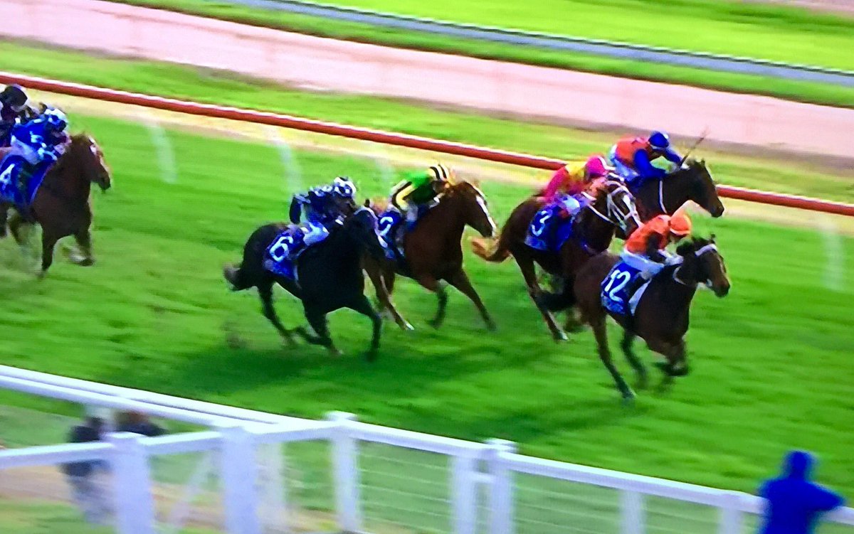 tequilaqueen07's tweet photo. #EQUIANO strikes again with #APRIANO win at Moe VIC ..#awinnneraday @newsellspark @AldersonRacing @adam_sangster https://t.co/mLwXoAfhU0