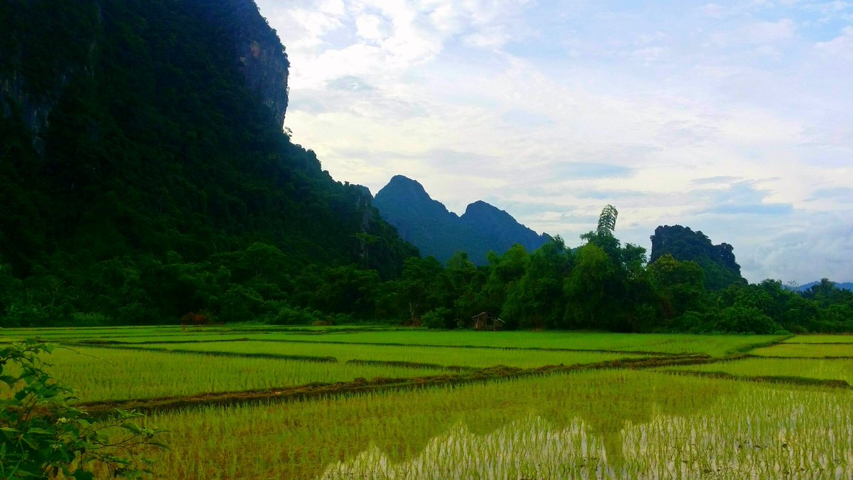 scosslett's tweet photo. Rice fields, rivers and big cities. #Summerholiday don't end! #KLC16 https://t.co/cS6HE4Yefe