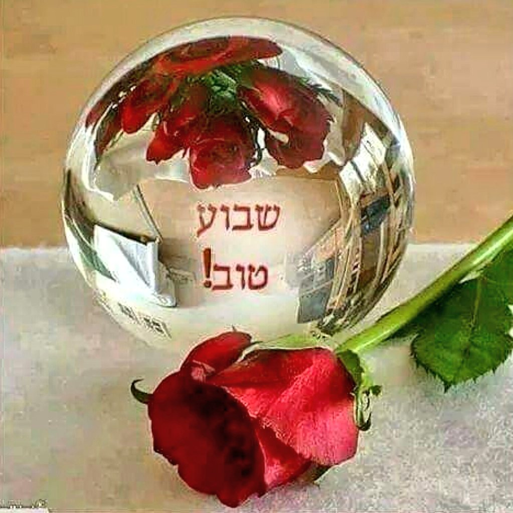 TEITELBAUMAARON's tweet photo. #shauvatov #gutvuch #mazeldigevuch #greatweek #hatzlacha #parnaso #weekofsimchas #motzaishabbos https://t.co/buA8bUQLKn