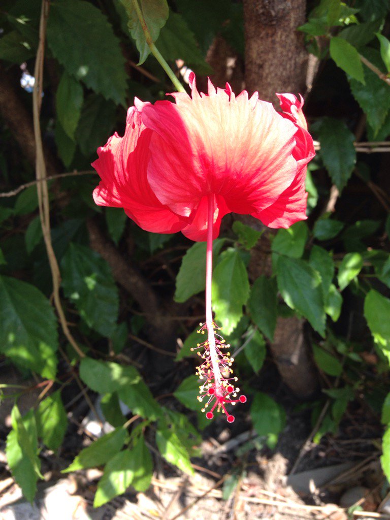 Beth Wyse tweet media