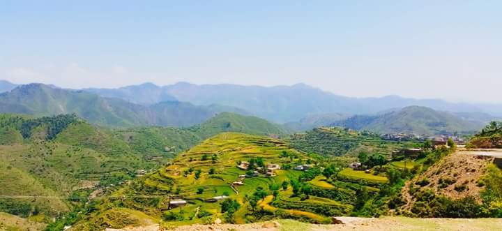 LifeLensScape's tweet photo. The less explored #BeerGali in #Gadoon #Swabi #KPK #beautifulPakistan #explorePakistan #KPTourism #Travel #tourism https://t.co/mAIHp9olOY