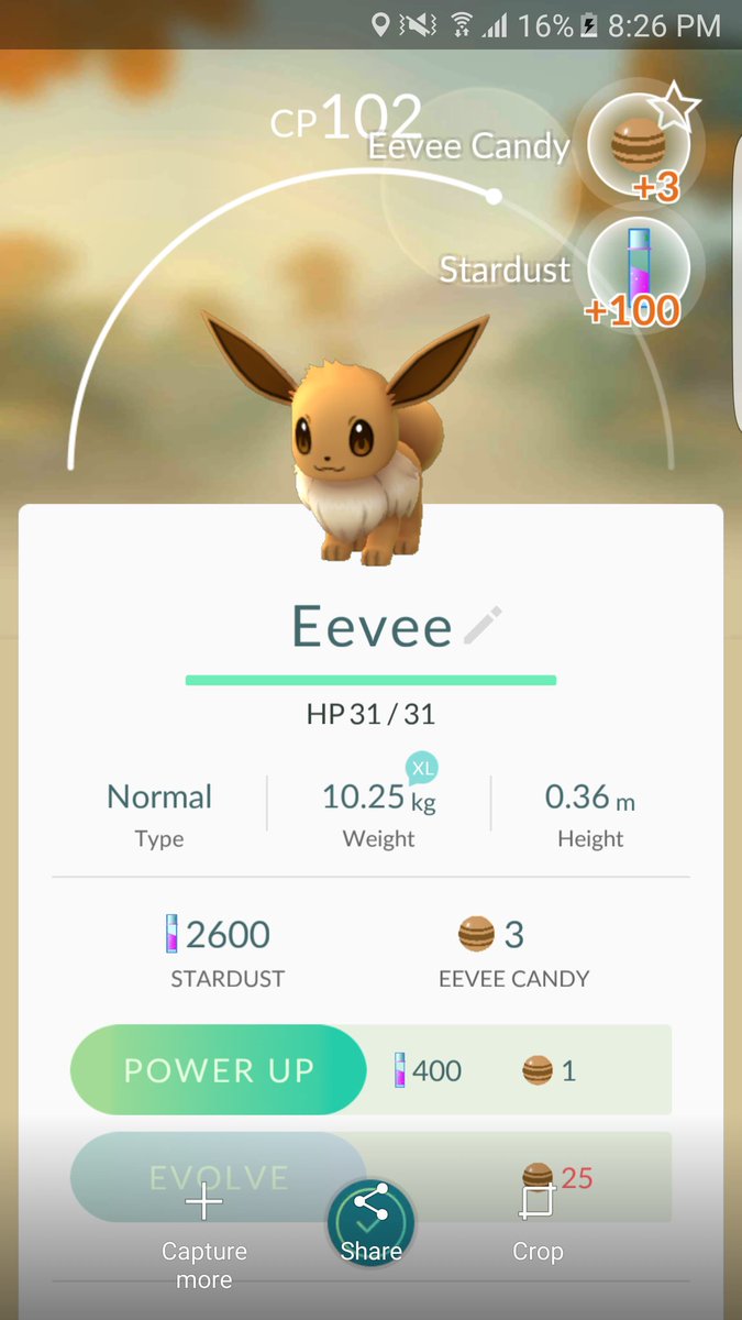 What does your Eevee evolve into?