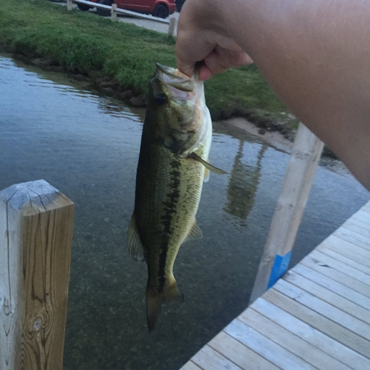 CodyHFishing's tweet photo. Couple decent largies on the rebel pop-r today! https://t.co/kQtrL6hxHm