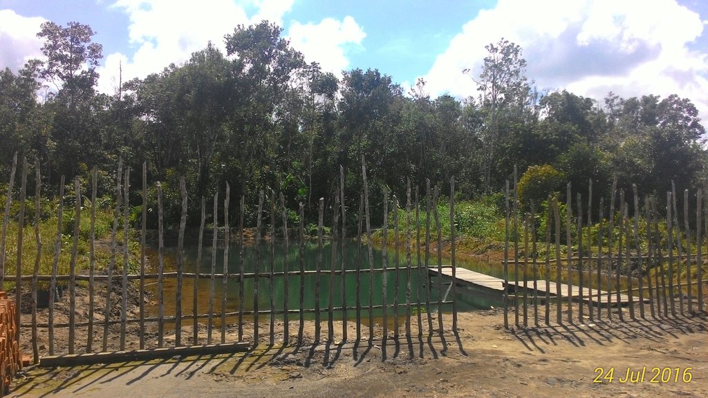 s_4dji's tweet photo. Kolam renang tadah hujan, di belakangnya hutan tempat bermain Bekantan. Keren itu berbagi ruang 😀#Mendawai #Katingan https://t.co/QF8KwSoDDY