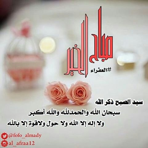 fofo_almady's tweet photo. سيد الصبح ذكر الله
سبحان الله والحمدلله والله أكبر
ولا إله إلا الله ولا حول ولاقوة إلابالله
صباح الخير ..🌹
#العفراء https://t.co/i46F3ElBzS