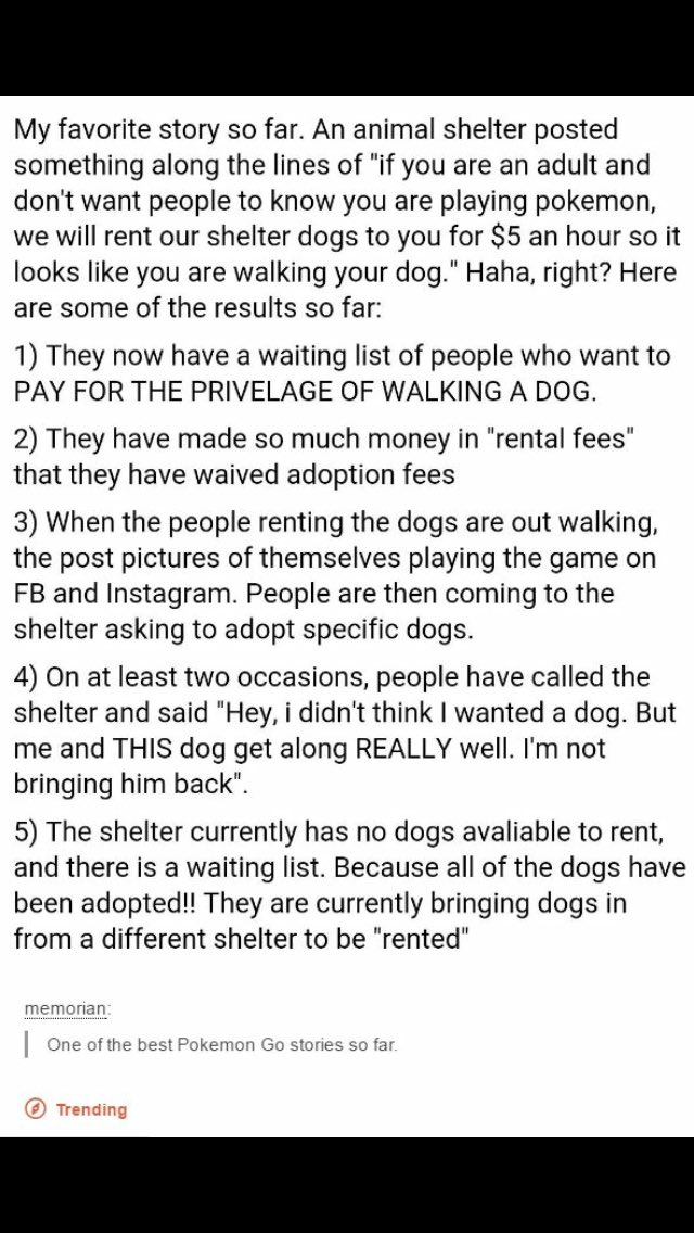 bay_instinct's tweet photo. #PokemonGO #DogRescuers #animalshelters https://t.co/ddMMfjeRHC
