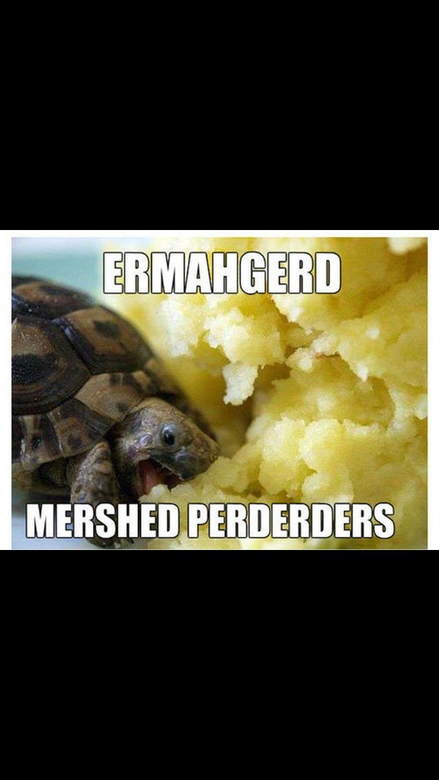 Logan Richards Loganyankees527 Twitter