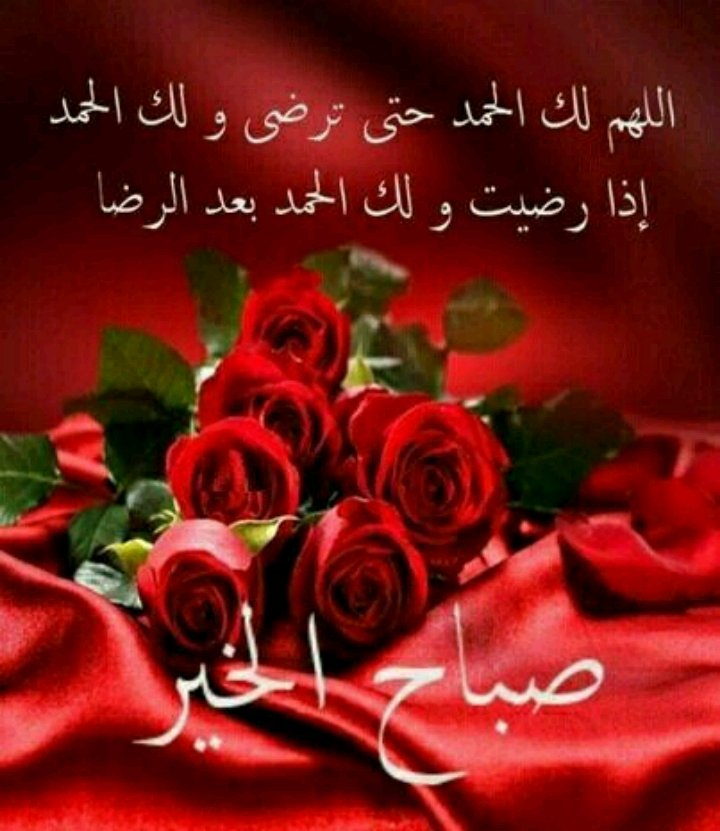 addnaniq's tweet photo. صباح من الورد بلْله الندى
والبلبل الصداح غنْا وغردا
قد أفلح من أصبح ذاكراً لله ربُ العالمين..ومجًدا
صباحكم خير وبركه https://t.co/upKNJOtICA