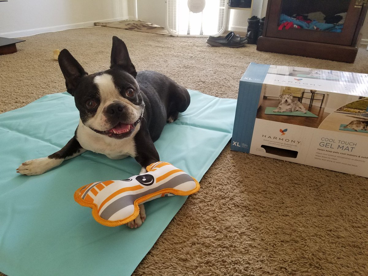 harmony cool touch gel mat for dogs