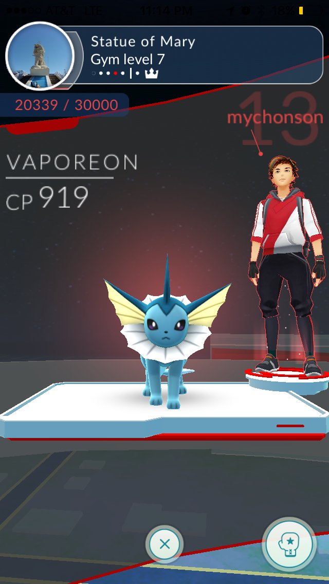 mychonson's tweet image. Ain’t no body messing with our gym during Marian days, #TeamValor #DHTM