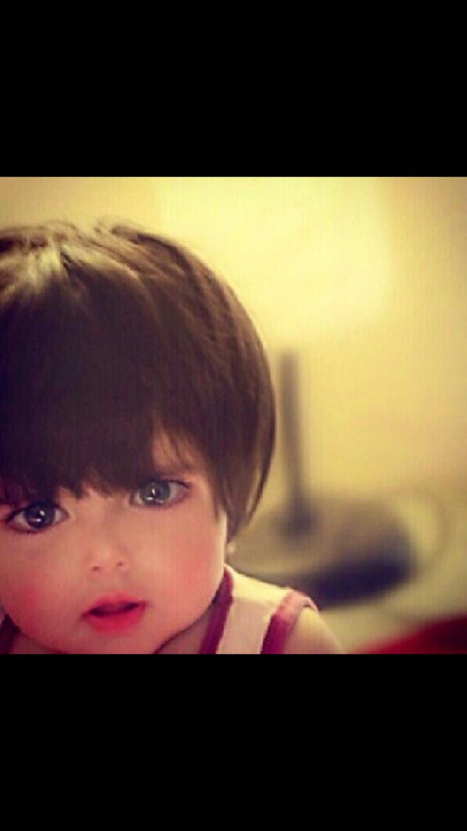 مُتغطرس ! tweet media