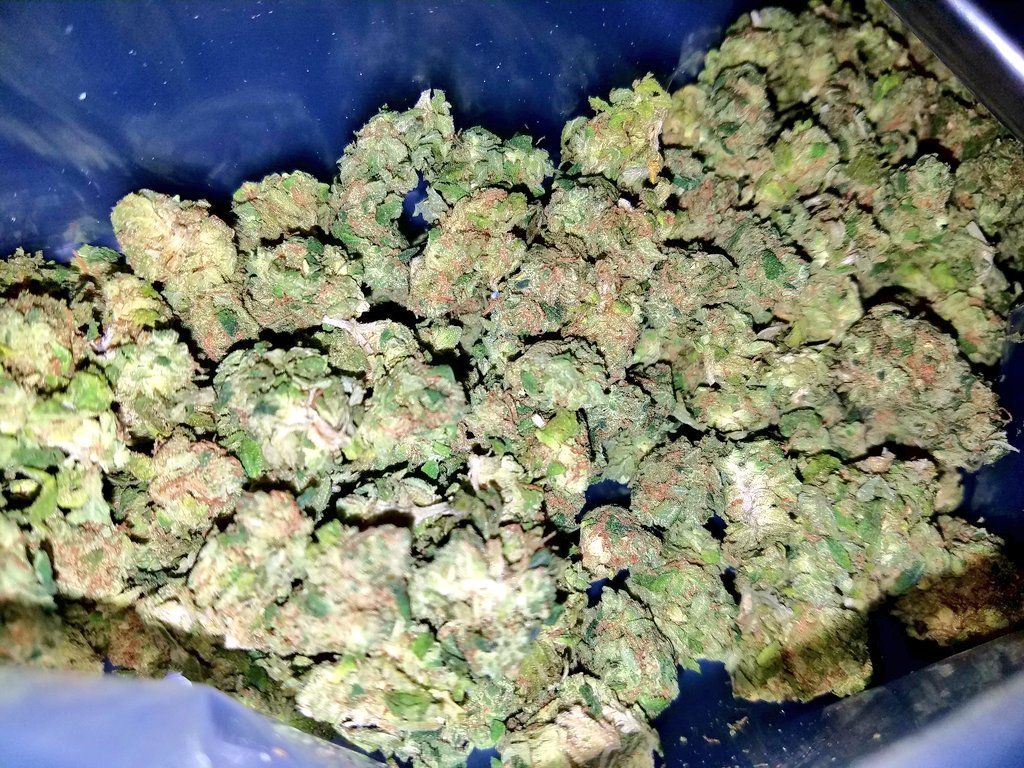 retweet for nugs, fav for giant joints