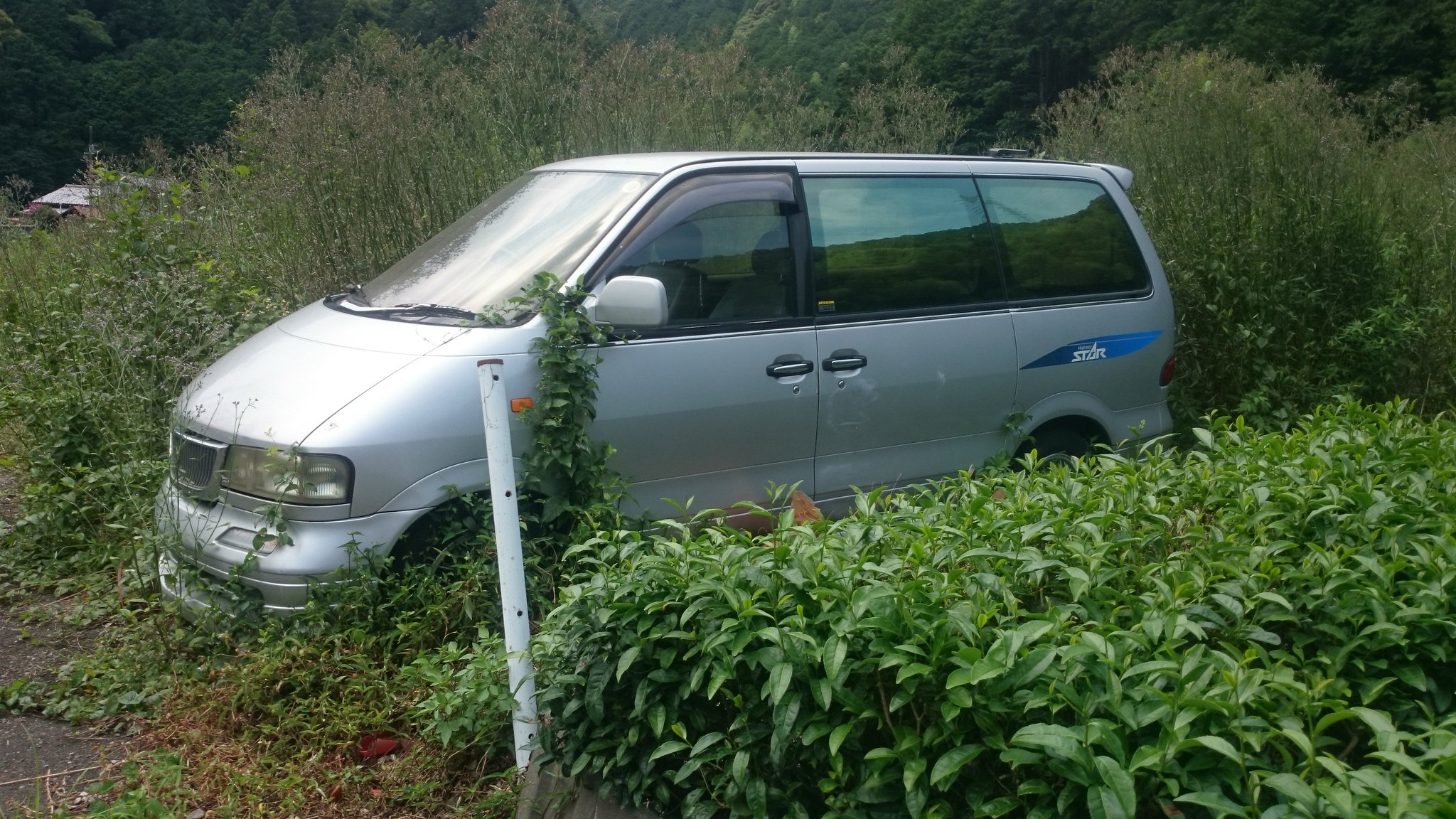 羊歯群 บนทว ตเตอร デリカと同じ道路沿いにあった他の草ヒロ4種類 1 蔦の這ったラルゴ 2 車種不明の軽トラ 3 盗難車と思われるステップワゴン 4 疲れからか 不幸にも黒塗りの高級車に追突してしまい証拠隠滅を図ったボンゴフレンディ 大嘘 T Co Whgsqyuein