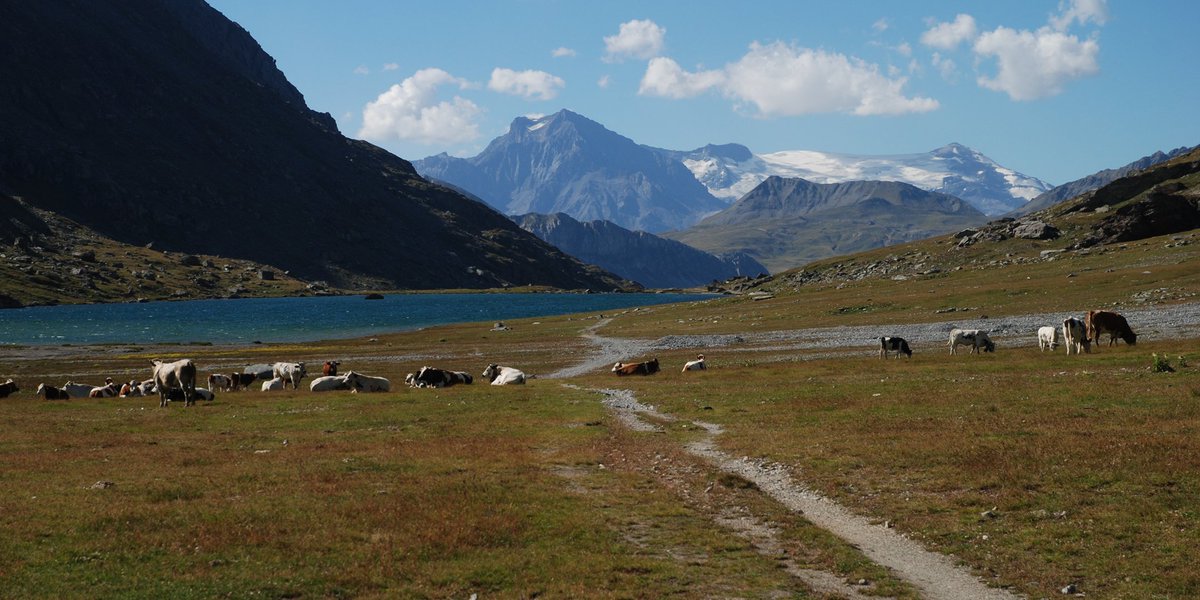 BricTour's tweet photo. 6 agosto, gita al lago delle Savine e col Clapier. https://t.co/iM3DLDj19S https://t.co/ic1EiBHICa