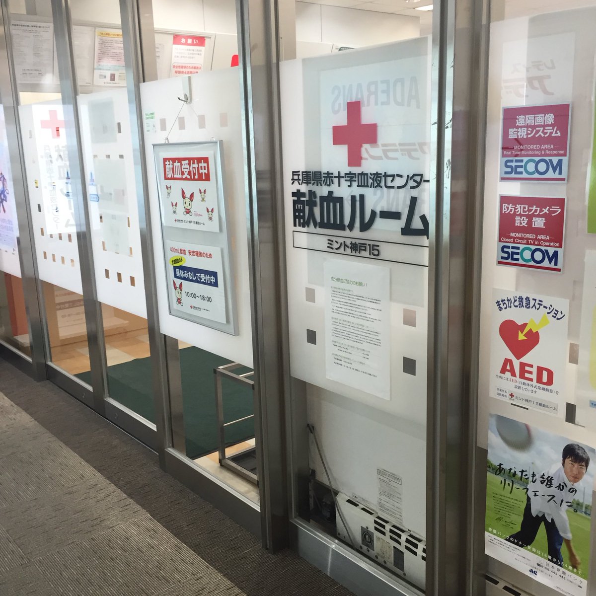 くまちゃ tweet media