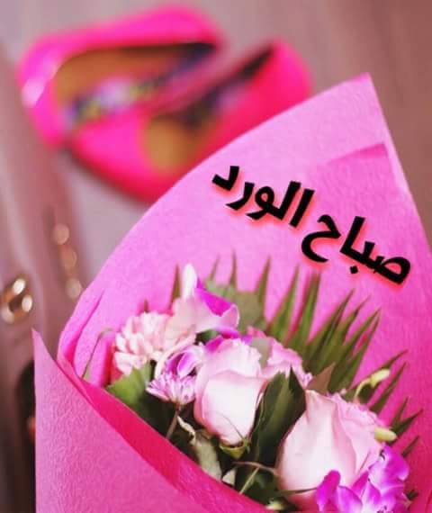 sabass944's tweet photo. أن تضيء شمعةً صغيرةً خير لك من أن تنفق عمرك تلعن الظلام.
لا يحزنك أنّك فشلت ما دمت تحاول الوقوف على قدميك من جديد. https://t.co/5NjDBPxnuq