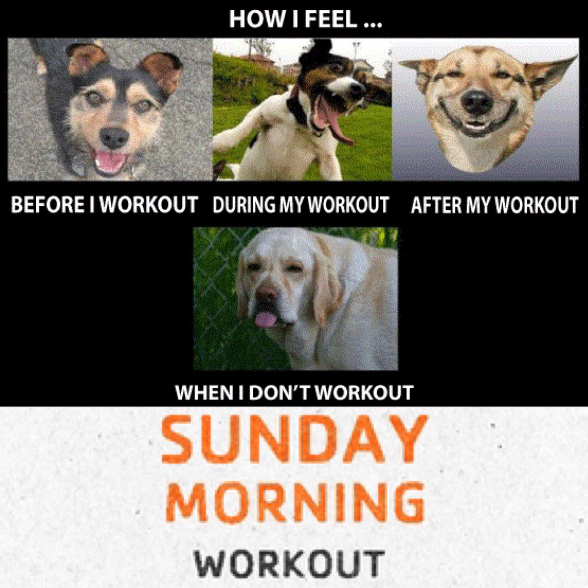 #Mearns Academy #laurencekirk 10-10.30 #Insanity then #bodyconditioning 10.30-11 - see you there 👊