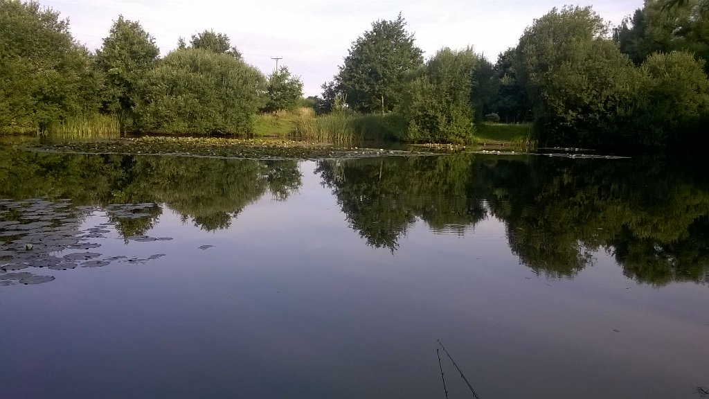 kearl1973's tweet photo. Lovely morning on the pond today float fishing for Tench #Warmalready ☀ 🎣 https://t.co/GiwEMIeF4S